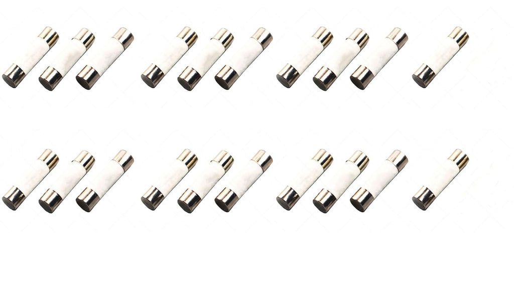 10A, T10A, 10A250V Fuse, T10A250 Fuse, 10A Fuse, 10A250V, 10A Fuses, Ceramic Fuses, 10AH250V, 10A250V AXIAL, Fuse 10Ah, 10AH 250V Fuse, Fuses 10AH,5 * 20Mm Lag Axial Fuse, 10 Amp 250V 10AH (20 Pcs)
